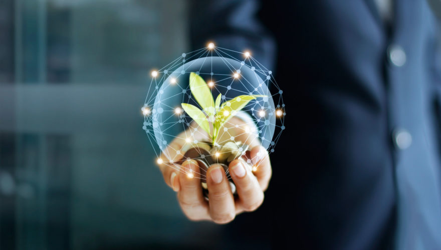 Businessman hand with coins and sprout in network connection. Pl